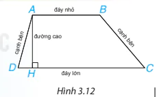 hinh-anh-bai-11-hinh-thang-can-6155-1