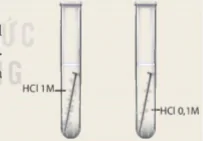 hinh-anh-bai-7-toc-do-phan-ung-va-chat-xuc-tac-6375-1