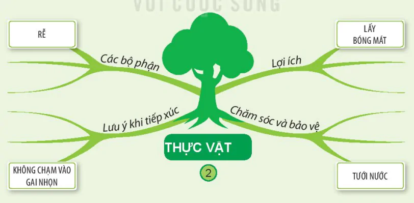 hinh-anh-bai-19-on-tap-chu-de-thuc-vat-va-dong-vat-6741-1