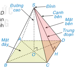 hinh-anh-bai-39-hinh-chop-tu-giac-deu-8595-1