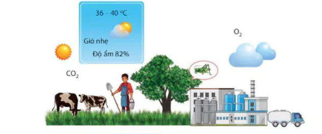 hinh-anh-bai-41-moi-truong-va-cac-nhan-to-sinh-thai-9394-1