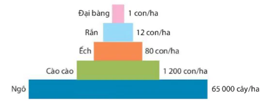 hinh-anh-bai-44-he-sinh-thai-9420-10