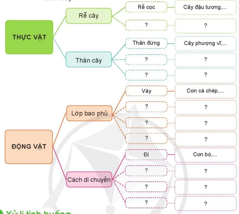 hinh-anh-on-tap-chu-de-thuc-vat-va-dong-vat-9480-1