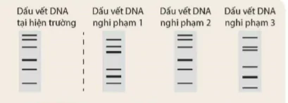 hinh-anh-bai-48-ung-dung-cong-nghe-di-truyen-vao-doi-song-9558-8