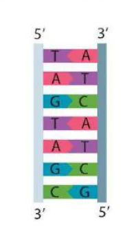 hinh-anh-bai-41-dot-bien-gene-9630-1