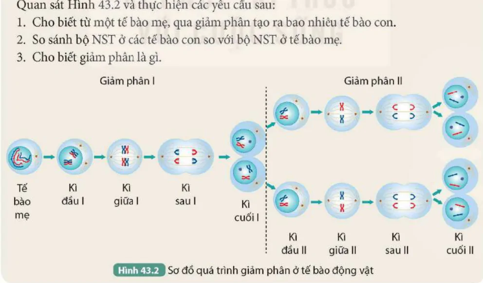 hinh-anh-bai-43-nguyen-phan-va-giam-phan-9639-1