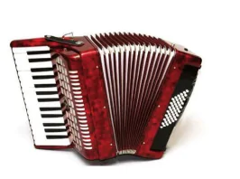 hinh-anh-thuong-thuc-am-nhac-dan-guitar-va-dan-accordion-10318-1