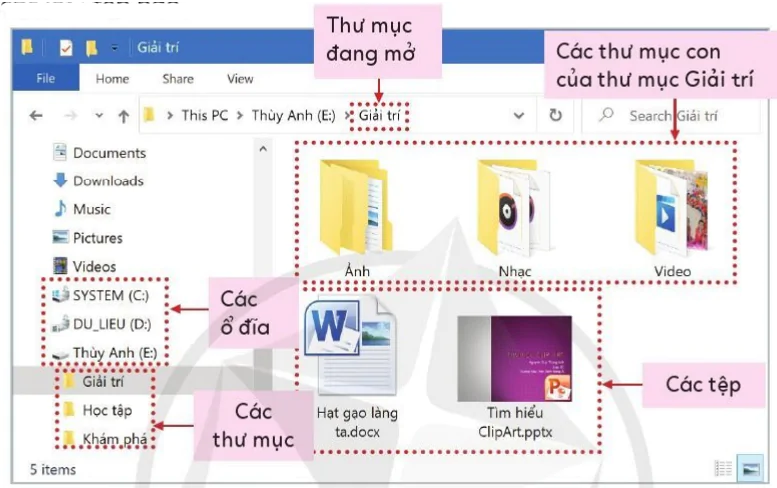 hinh-anh-bai-1-sap-xep-phan-loai-cac-tep-du-lieu-trong-may-tinh-10061-1