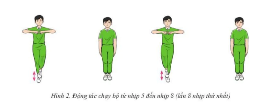 hinh-anh-bai-2-bai-tap-the-duc-nhip-dieu-dong-tac-chay-bo-dong-tac-bung-va-dong-tac-dieu-hoa-10762-1