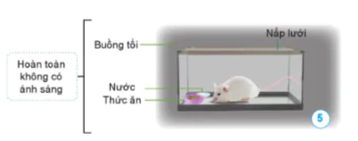 hinh-anh-bai-14-nhu-cau-song-cua-dong-vat-va-cham-soc-vat-nuoi-10838-1