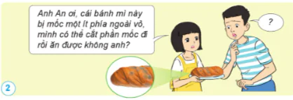 hinh-anh-on-tap-chu-de-nam-10864-1