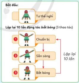 hinh-anh-bai-6-cau-truc-lap-voi-so-lan-biet-truoc-10927-1