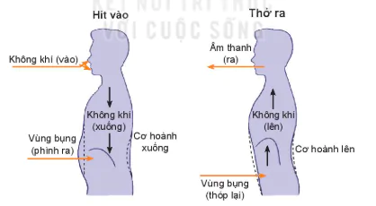hinh-anh-bai-2-lam-chu-hoi-tho-12670-1