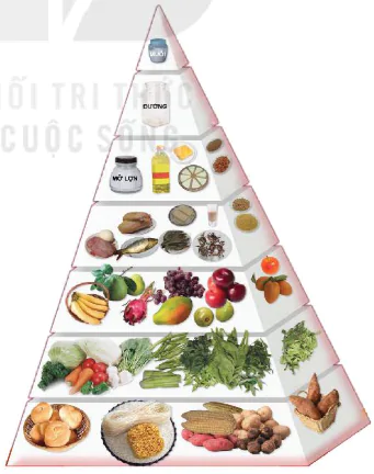 hinh-anh-chu-de-su-dung-cac-yeu-to-tu-nhien-va-dinh-duong-de-ren-luyen-suc-khoe-va-phat-trien-the-chat-12778-5