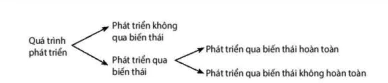hinh-anh-bai-22-sinh-truong-va-phat-trien-o-dong-vat-12891-1
