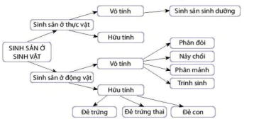hinh-anh-bai-24-khai-quat-ve-sinh-san-o-sinh-vat-12893-1