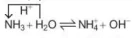 hinh-anh-bai-5-ammonia-muoi-ammonium-13180-5