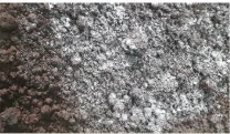 hinh-anh-bai-4-su-dung-cai-tao-va-bao-ve-dat-trong-13255-10