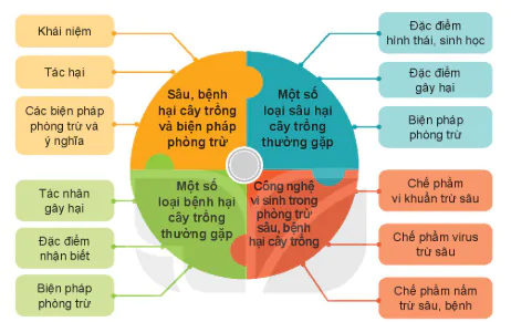 hinh-anh-on-tap-chuong-v-13311-0