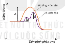 hinh-anh-bai-19-toc-do-phan-ung-13527-82