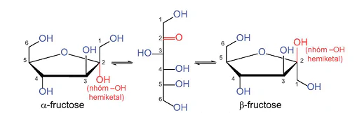 hinh-anh-bai-4-gioi-thieu-ve-carbohydrate-glucose-va-fructose-13502-1