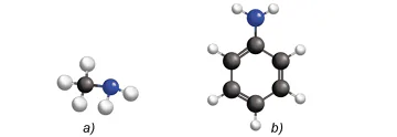 hinh-anh-bai-8-amine-13506-7