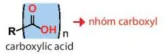 hinh-anh-bai-24-carboxylic-acid-13672-1