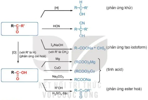 hinh-anh-bai-25-on-tap-chuong-6-13680-0