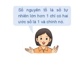 hinh-anh-bai-3-phuong-phap-quy-nap-toan-hoc-13186-1