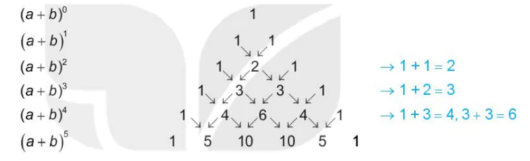 hinh-anh-bai-4-nhi-thuc-newton-13187-1