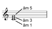 hinh-anh-bai-1-hop-am-ba-cac-hop-am-ba-chinh-trong-dieu-truong-va-dieu-thu-13290-1