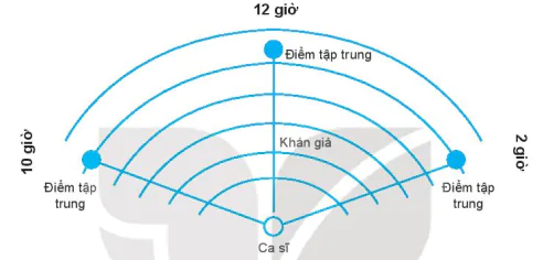 hinh-anh-bai-1-nhung-van-de-chung-ve-ki-nang-bieu-dien-thanh-nhac-13762-1