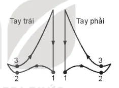 hinh-anh-bai-1-nhung-van-de-chung-ve-chi-huy-13769-5