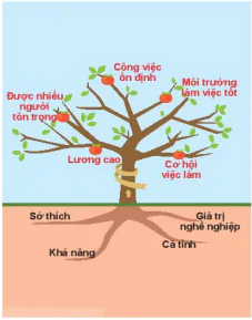 hinh-anh-bai-8-du-an-lap-ke-hoach-lua-chon-nghe-nghiep-stem-13371-1