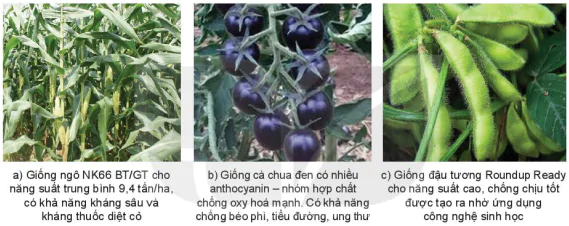 hinh-anh-bai-1-bai-mo-dau-13340-1