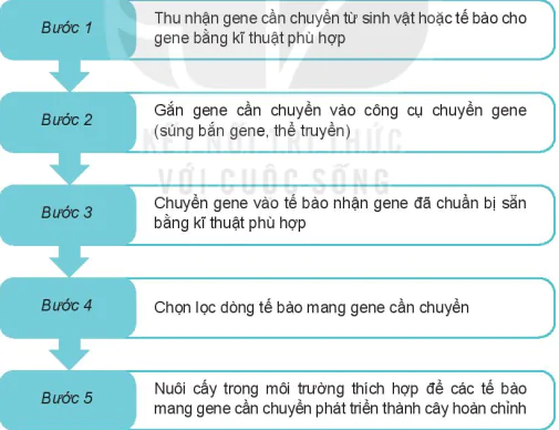 hinh-anh-bai-2-mot-so-ung-dung-cong-nghe-sinh-hoc-trong-chon-tao-giong-cay-trong-13341-1