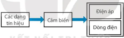 hinh-anh-bai-7-cam-bien-13523-0