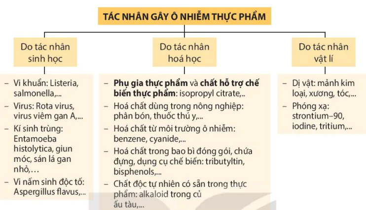 hinh-anh-bai-9-khai-quat-ve-ve-sinh-an-toan-thuc-pham-13588-1