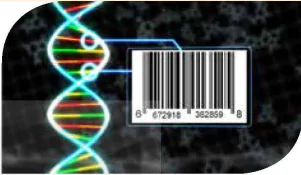 hinh-anh-bai-4-ung-dung-ma-vach-dna-trong-lam-nghiep-13982-1