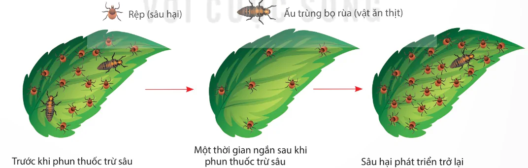 hinh-anh-bai-5-khai-niem-co-so-va-vai-tro-cua-kiem-soat-sinh-hoc-13940-1