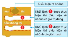 hinh-anh-bai-12-cau-truc-re-nhanh-10941-10