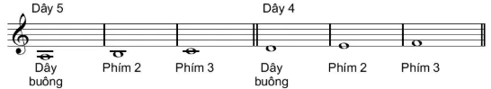 hinh-anh-bai-1-gioi-thieu-dan-guitar-va-ki-thuat-bam-gay-tren-day-5-day-4-12673-9