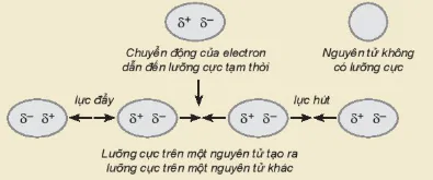 hinh-anh-bai-13-lien-ket-hydrogen-va-tuong-tac-van-der-waals-13481-24