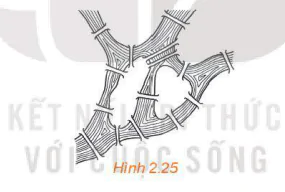 hinh-anh-bai-9-duong-di-euler-va-duong-di-hamilton-13456-12