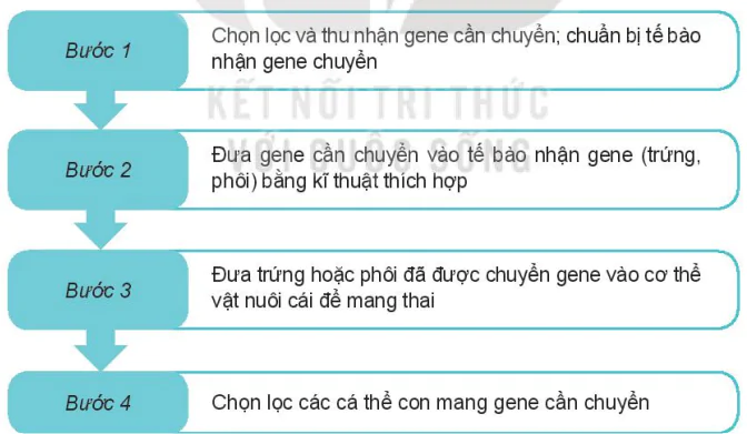 hinh-anh-bai-2-mot-so-ung-dung-pho-bien-cua-cong-nghe-sinh-hoc-trong-chon-tao-giong-vat-nuoi-13787-8