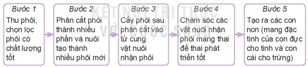 hinh-anh-bai-3-mot-so-ung-dung-pho-bien-cua-cong-nghe-sinh-hoc-trong-nhan-giong-vat-nuoi-13788-9