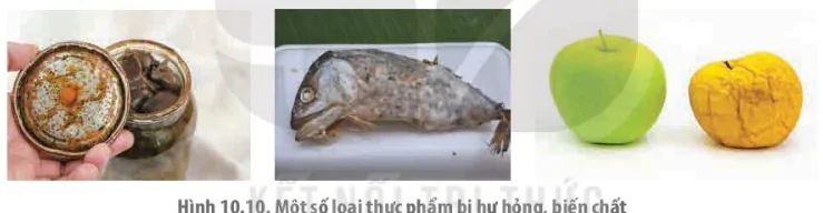 hinh-anh-bai-10-ngo-doc-thuc-pham-13589-10