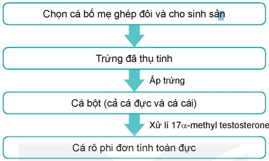 hinh-anh-bai-7-ung-dung-cong-nghe-sinh-hoc-trong-san-xuat-giong-thuy-san-13985-10