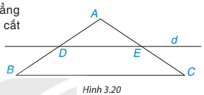 hinh-anh-bai-11-hinh-thang-can-6155-17