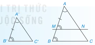 hinh-anh-bai-34-ba-truong-hop-dong-dang-cua-hai-tam-giac-8473-42